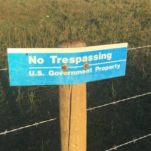 Meet your Posher, Bob